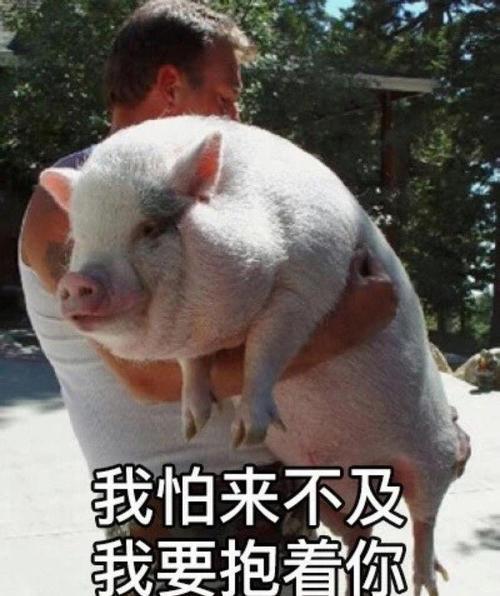 伺候好公公比养猪强的段子