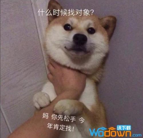 为什么领导总是催我找对象