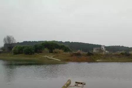 野河涨水水浑浊钓底还是钓浮
