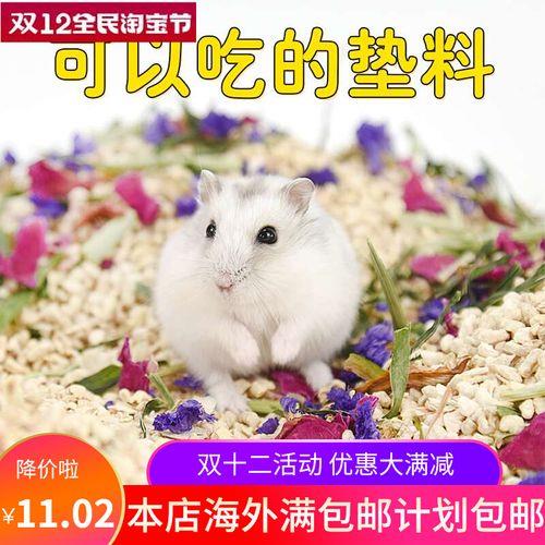 花枝鼠可以用玉米芯吗