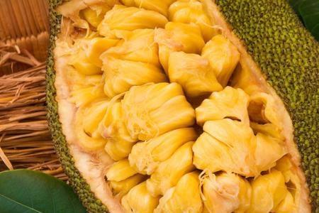 菠萝蜜公果和母果怎么样区分