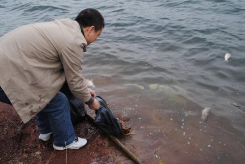 鳝鱼可以放生在厕所吗