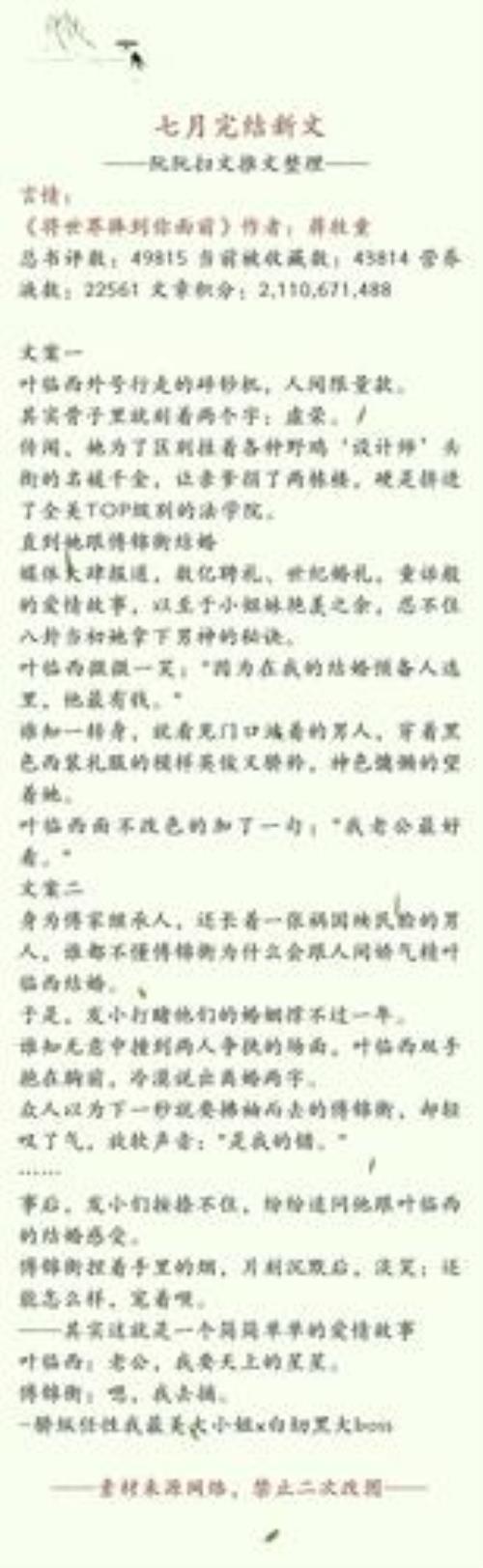 纯爱言情区别