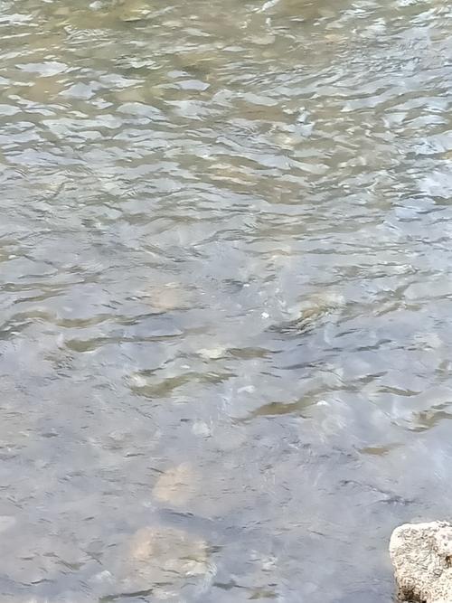 可以濯我足的读音