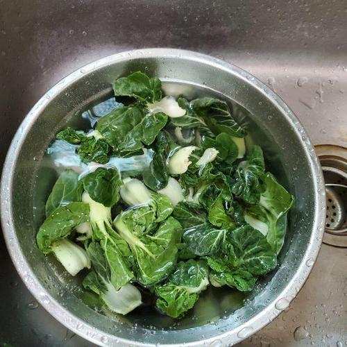 烫白菜正宗做法