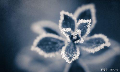 笑脸和雪花代表什么