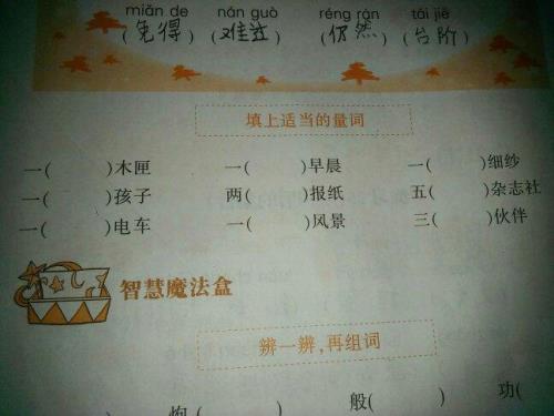 一飞鸟填量词是什么