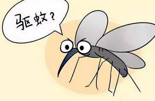 一直存在跟持续存在的区别