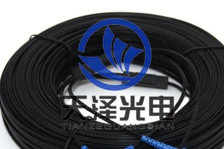 专线需要两芯光纤吗