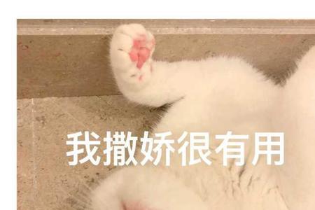 古代有撒娇一词吗