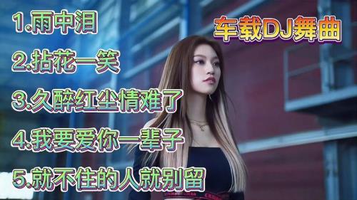雨中泪dj原唱