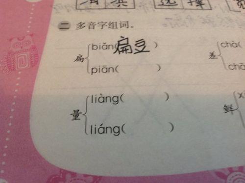 能组词什么词