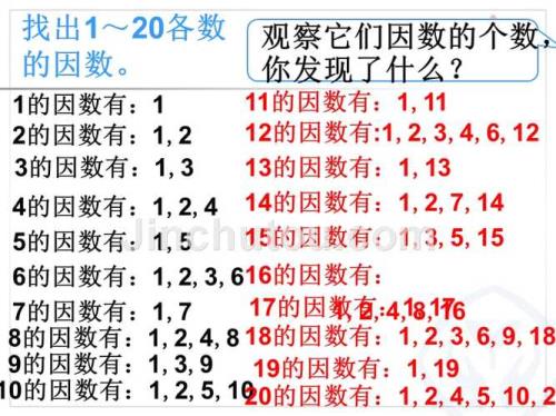 为什么4是质数