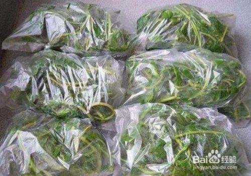 香椿芽抽真空能保存多长时间