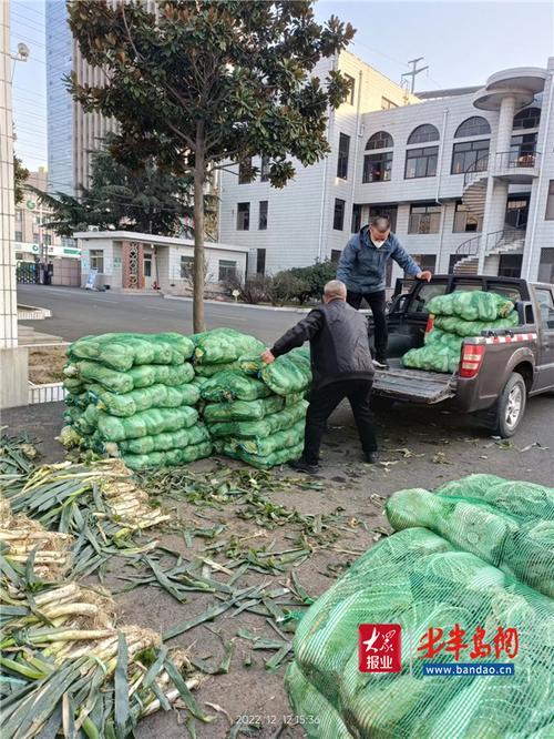 卖白菜的主要人物是谁