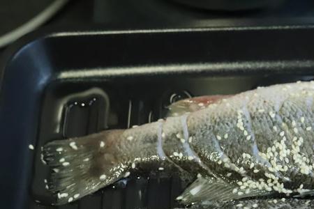 鲈鱼和罗非哪个干净