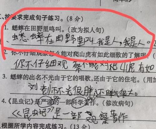 多又造句