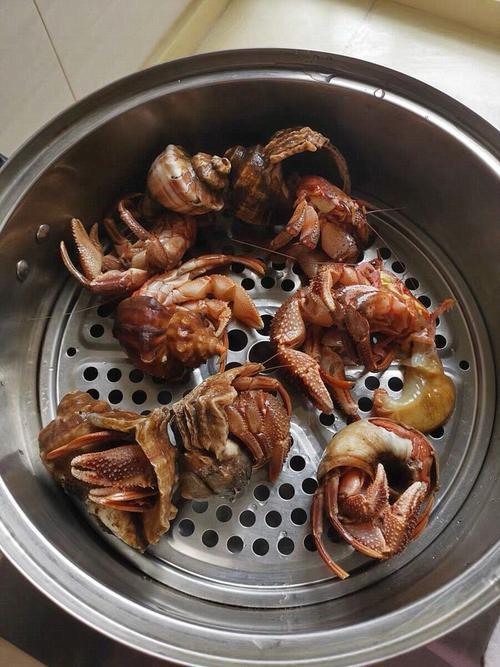 虾怪为什么和海蛆在一起