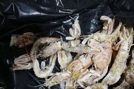 离淄博最近的海鲜市场