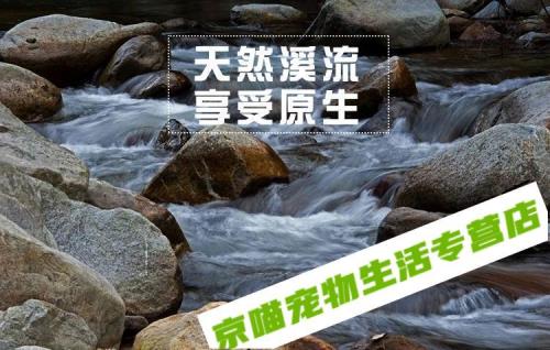 水泽国度什么级别