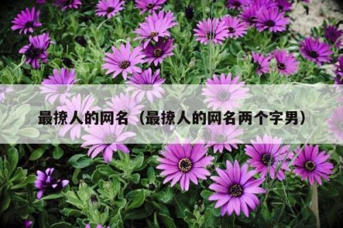 含有姐字的两个字网名