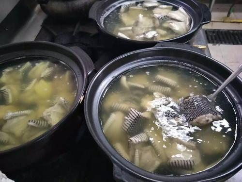 土骨蛇的泡法