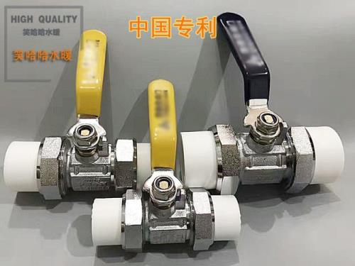 ppr总开关如何装