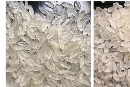 人造米优点缺点