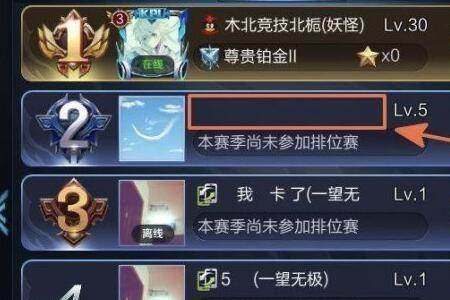 王者怎么查全部的名字