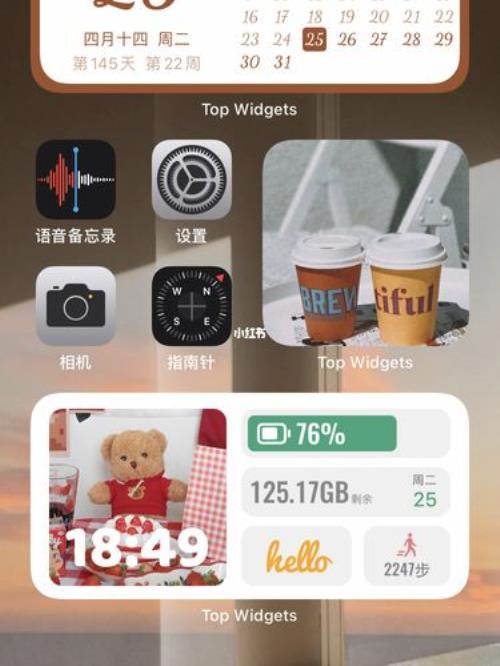 topwidgets怎么关闭图标
