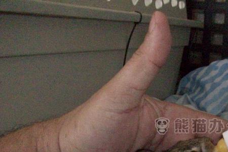 兔子卡笼子会导致它受伤吗