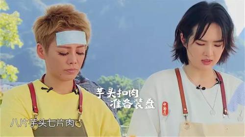 公主太贤惠结局