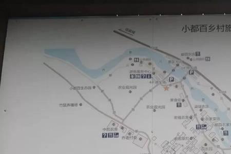 火棘下山桩几年挂果