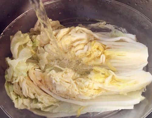 北方腌长白菜盐与菜的比例