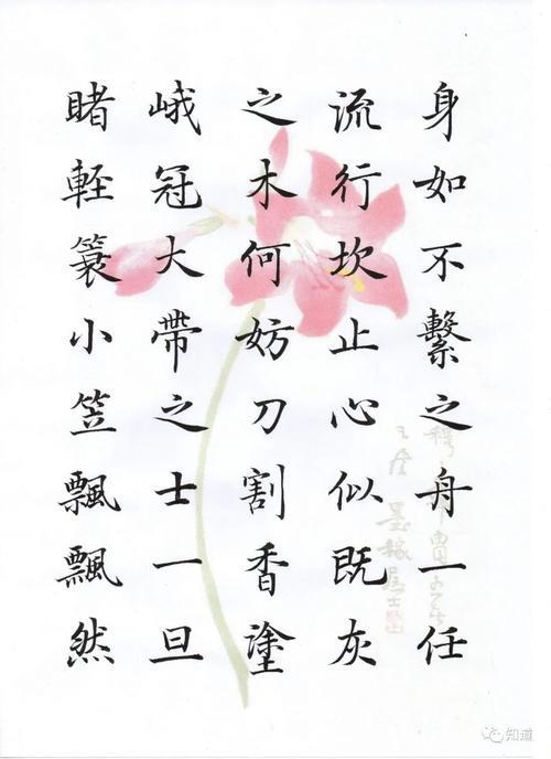 舟去人归任瑞宜大结局