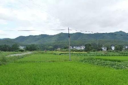 田荒什么意思