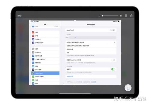 苹果ipad怎么截图只截一部分