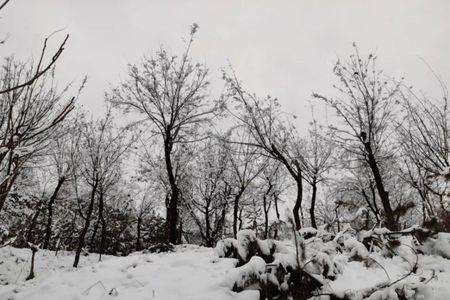 2022西安下雪预测