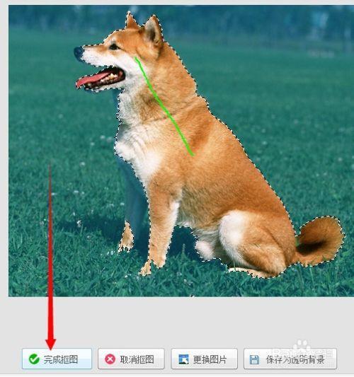 苹果相册抠图下来为什么变灰了