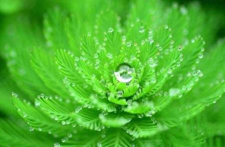 雨露恩泽隐含的意思