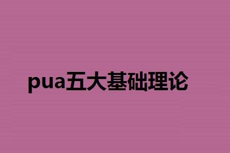 pua理论什么意思
