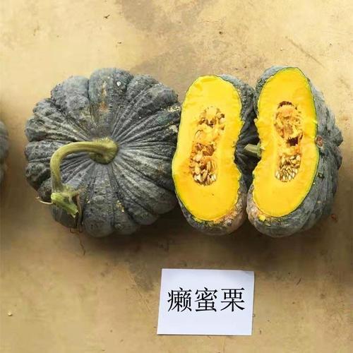蜜本南瓜自己留种子可以吗