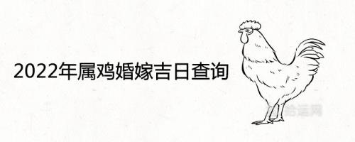 1998结婚到2022年是什么婚