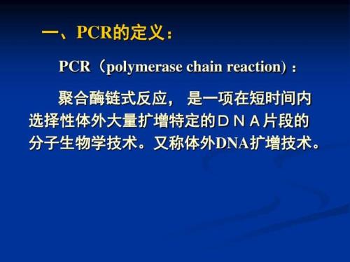 pcr循环的三个阶段
