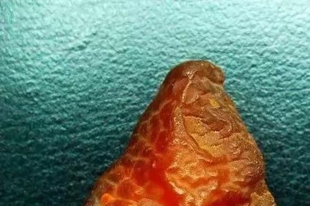荔枝纹海漂子有香味吗