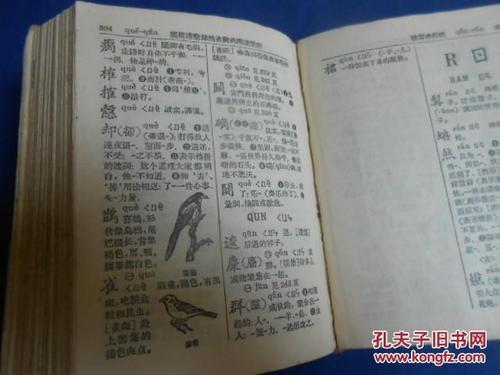 墩在字典的第几页
