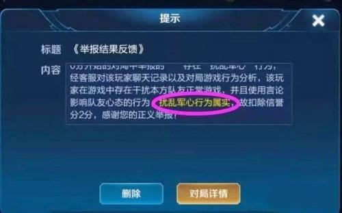 王者维护什么意思