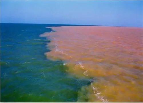 黄河水流入大海不可惜吗