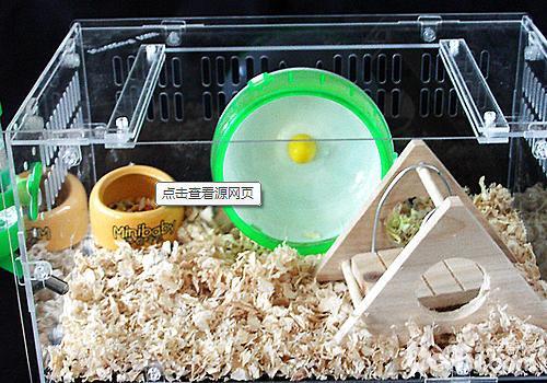 布丁仓鼠用多大的跑轮合适