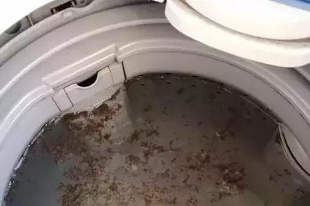 请的符放进洗衣机洗了怎么办